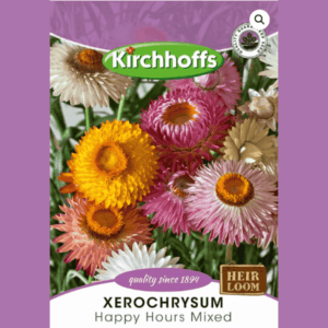 Kirchhoffs Heirloom Seed packets (Helichrysum Happy Hours Mixed)
