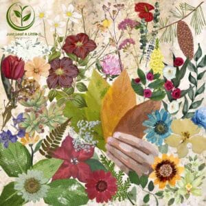 R35.00 Plant Specials!